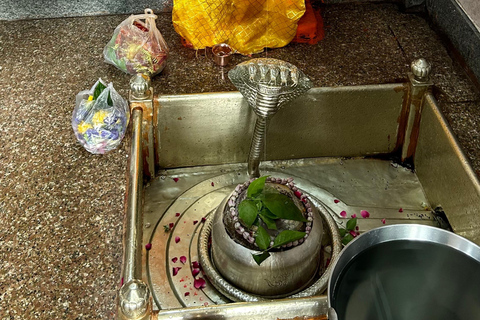 Varanasi: 12 Jyotirlinga Yatra – Guided Journey by Omvity