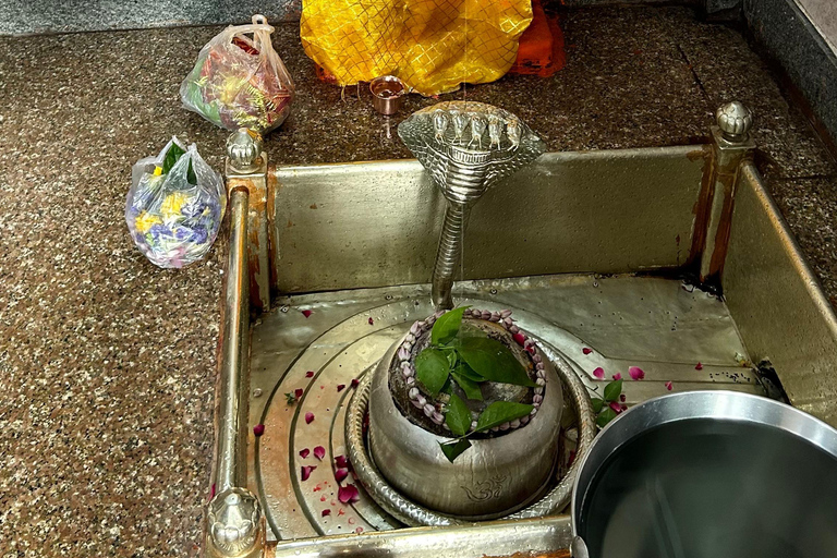 Varanasi: 12 Jyotirlinga Yatra – Guided Journey by Omvity