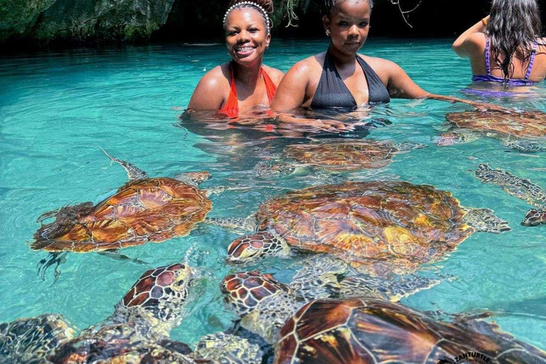 ZANZIBAR: Sea Turtles Swimming, Location Nungwi or Kizimkazi Salaam Cave Feeding & Swimming with and Sea Turtles