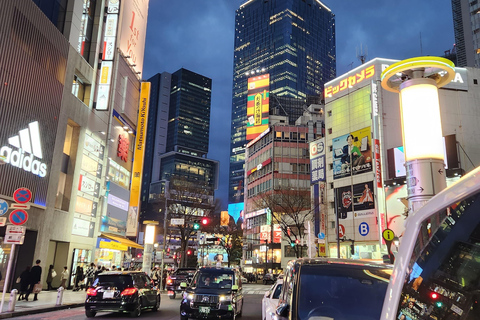 Tour privado de un día por los lugares famosos de TokioVisita Privada de un Día a los Lugares Famosos de Tokio