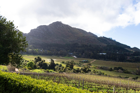 Cape Town: Private Full Day City &amp; Winelands Tour