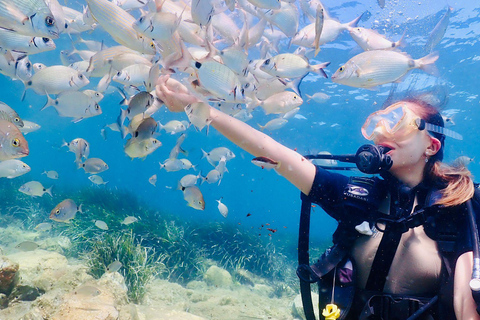 Kusadasi: Scuba Diving for Beginner or Expert Diver w/ Lunch Reef Diving Option ( 40 Minutes )