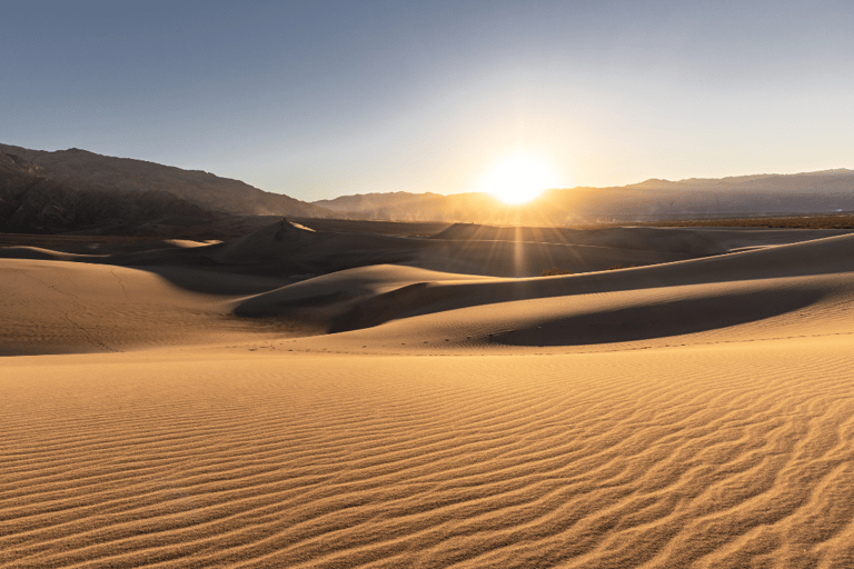 Safari no deserto de Doha partilhado a partir do porto de cruzeiros guiados