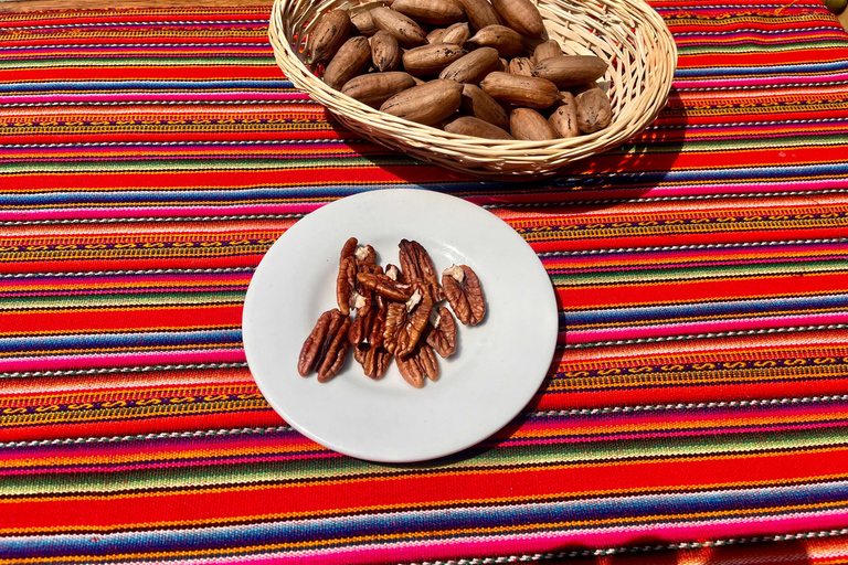 De Ica ou Huacachina: Pisco, vinho e buggy ao pôr do sol