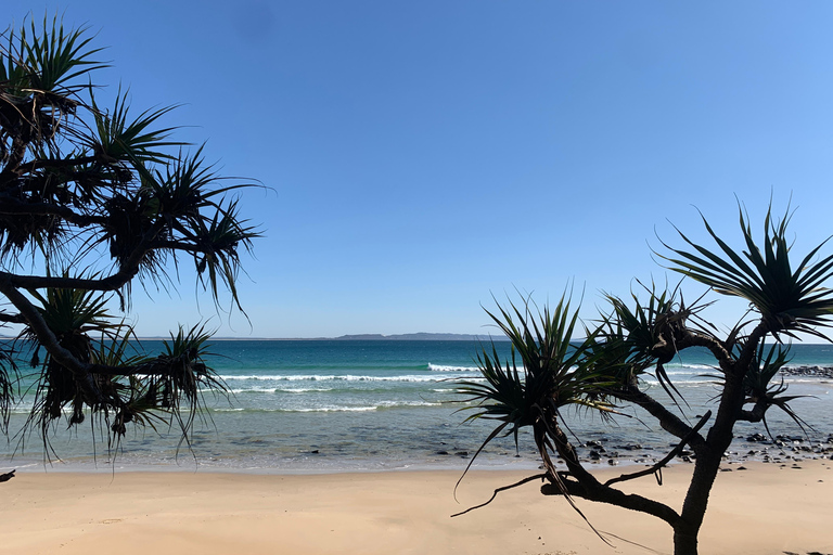 NOOSA: Private Transfer to/fro Sunshine Coast Airport (MCY)Sunshine Coast Flughafen nach Noosa