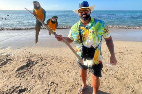 San Juan: El Yunque Regenwaldwanderung &amp; Luquillo BeachSan Juan: Wanderung durch den Regenwald El Yunque &amp; Luquillo Beach