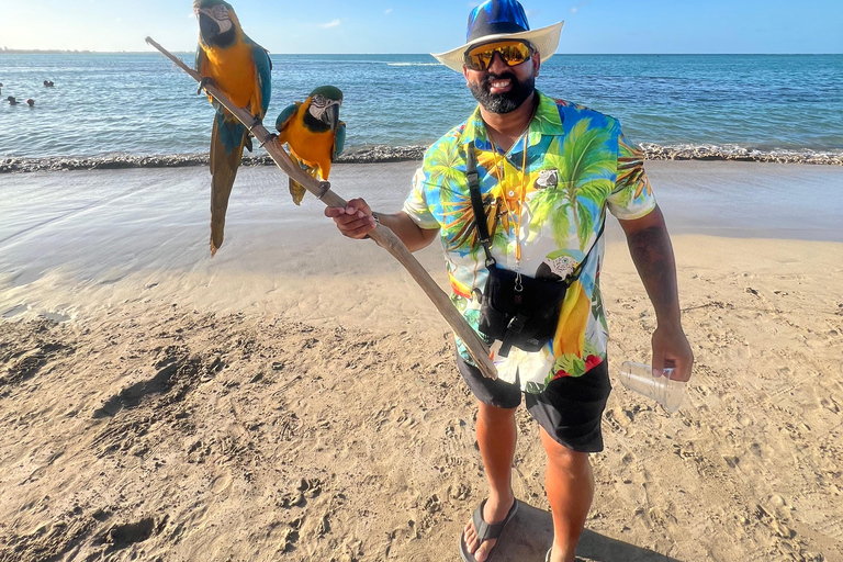 San Juan: El Yunque Regenwaldwanderung &amp; Luquillo BeachSan Juan: Wanderung durch den Regenwald El Yunque &amp; Luquillo Beach