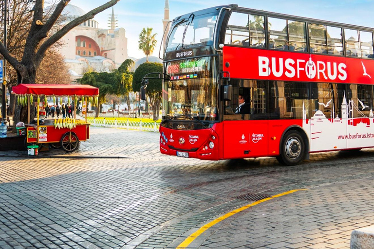 Stambuł: bilet na autobus hop-on hop-off