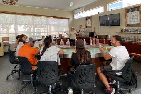 Paracas e Huacachina: Ilhas, Dune Buggy e Piquenique ao Pôr do SolParacas e Huacachina: Ilhas, Buggy nas Dunas e Piquenique ao Pôr do Sol