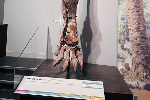 Unbeatable Deal : 3-Day Tour to Banff, Jasper & Drumheller Banff: 3-Day Guided Tour to Banff, Jasper & Drumheller