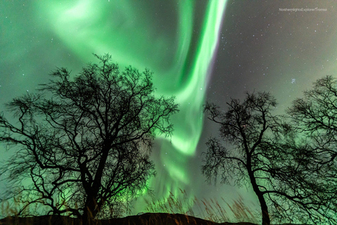 Tromsø : Excursion aux aurores boréales avec photos et combinaisons chaudes