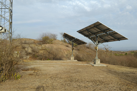 Udaipur to Jodhpur: Ranakpur Temple & Jawai Leopard Safari