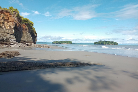 Cali: Whale Watching Tour with Breakfast and Lunch