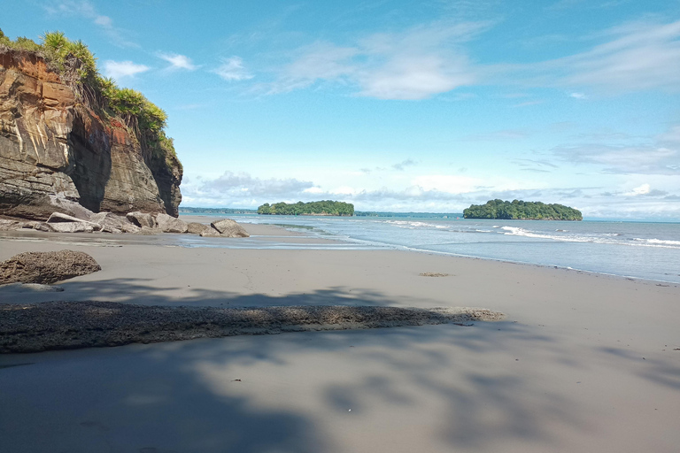 Cali: Whale Watching Tour with Breakfast and Lunch