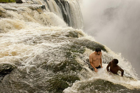 Livingstone: Rhino Game Drive & Devil's Pool Tour (High Tea)
