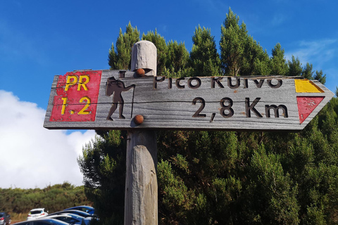 Funchal : randonnée au Pico Ruivo et à l&#039;Achada do Teixeira avec transfertFunchal : transfert pour randonnée au Pico Ruivo et à Achada do Teixeira