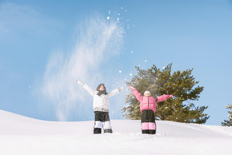 Vivaldi Park_ Snowyland Śnieżna zabawa z Seoul ShuttleWstęp do Krainy Śniegu [8 rano Hongik]