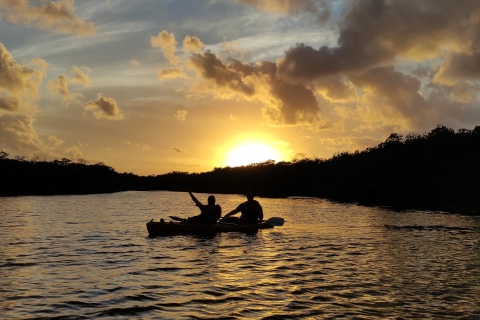 Puesta de sol en kayak en la Laguna Nichupte de WayakAtardecer en Kayak en el Bosque de Magroves Por Wayak