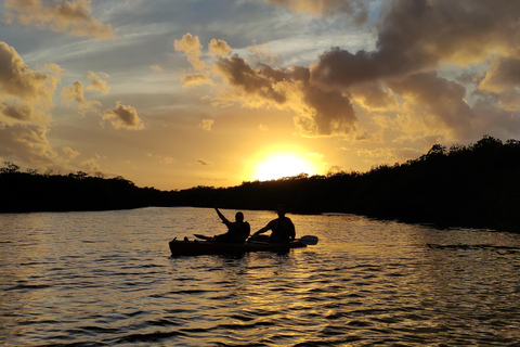 Coucher de soleil en kayak dans la lagune Nichupte par WayakCoucher de soleil en kayak dans la forêt de Magroves par Wayak