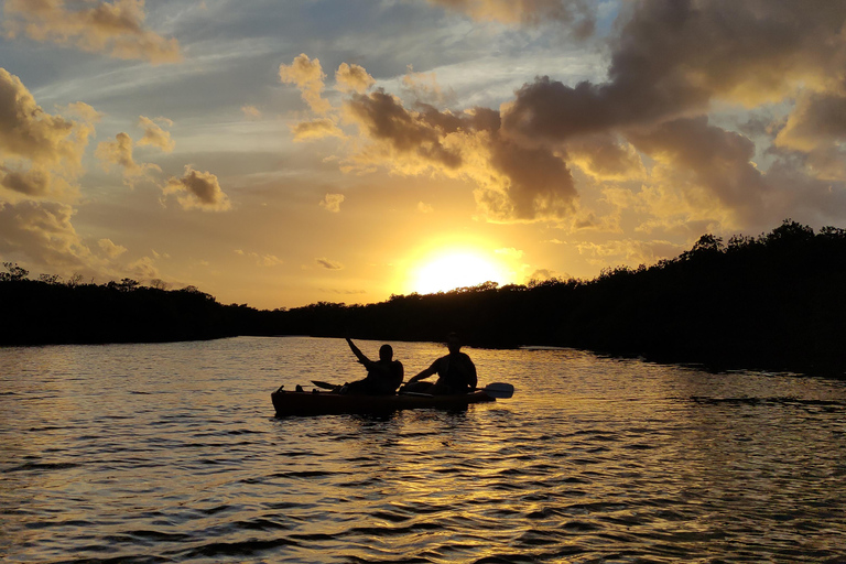 Puesta de sol en kayak en la Laguna Nichupte de WayakAtardecer en Kayak en el Bosque de Magroves Por Wayak