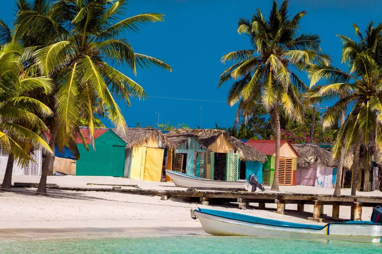Saona Island: Private Experience from Punta Cana and Bayahibe in a Sprinter