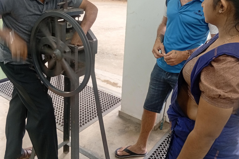 康提：香料园和手工艺人工作室嘟嘟车之旅