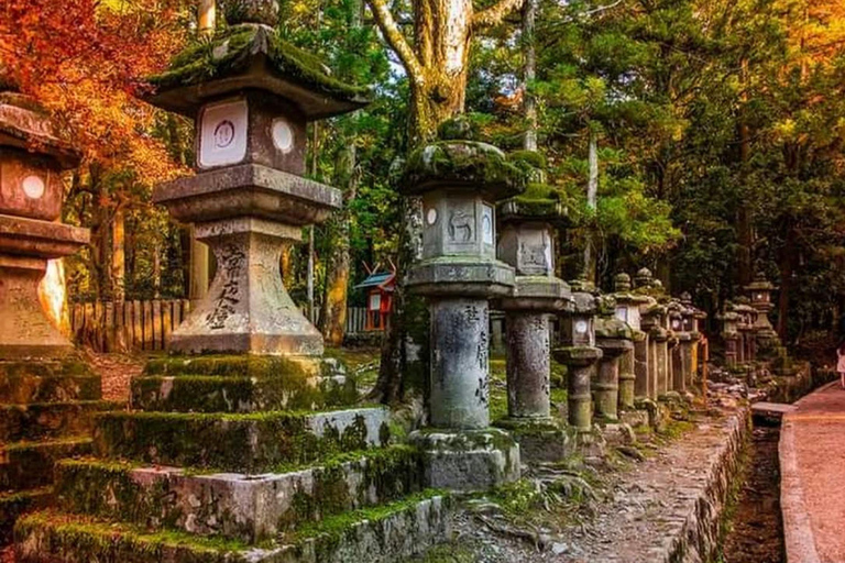 Nara Hidden Gems: Deer, Tsubosaka-dera, Kasuga & Naramachi