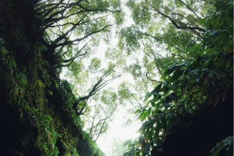 Ribeira dos Caldeirões: Tour guidato di canyoning con attrezzatura