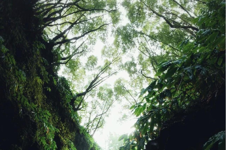 Ribeira dos Caldeirões: Tour guiado de Canyoning com equipamento