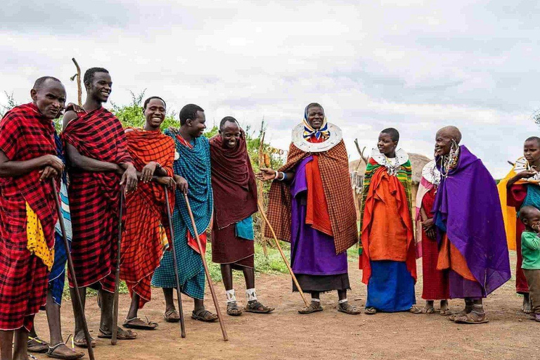 Arusha |Moshi: tour del villaggio Maasai, cascate e caffèArusha: villaggio Masai, cascata Materuni e tour del caffè