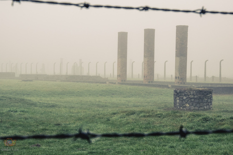 Från Krakow: Auschwitz-Birkenau-tur med transport