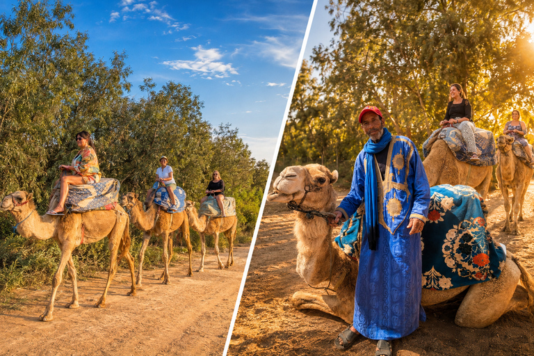 Agadir: Private Souss River Camel Ride with Pickup