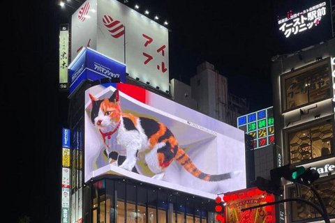 Tokyo Night Private Tour With English Speaking Driver