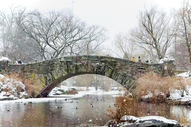 مدينة نيويورك جولة &quot;هوم ألون 2&quot; و&quot;إلف&quot; في سنترال بارك