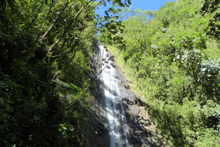 Hawaiian Waterfall Hike