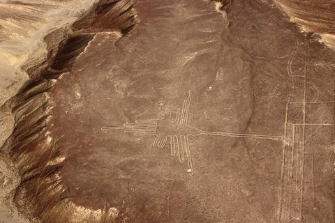 Servizio privato da Lima | Volo sulle Linee di NazcaLima | Volo sulle linee di Nazca + Ica Huacachina