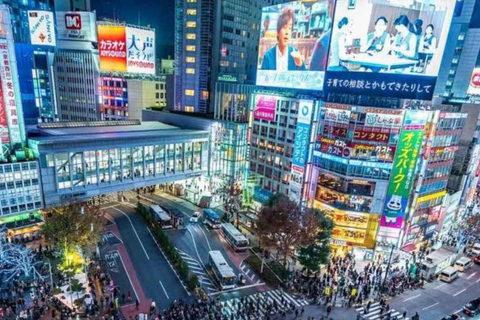 Tokyo City Private Day Tour By English Speaking Driver