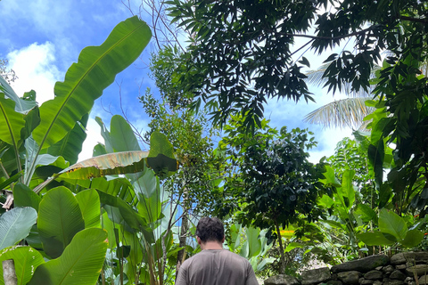 Parco Tayrona 2 giorni e 1 notte. Un percorso ancestrale.