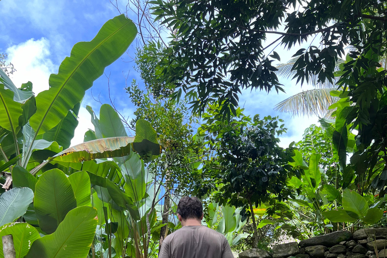 Parco Tayrona 2 giorni e 1 notte. Un percorso ancestrale.