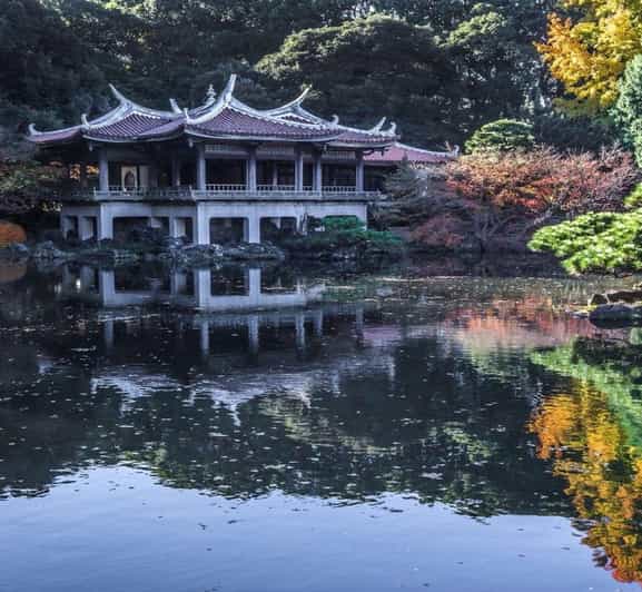 Depuis Nagano : visite privative de Tokyo avec prise en charge à l'hôtel