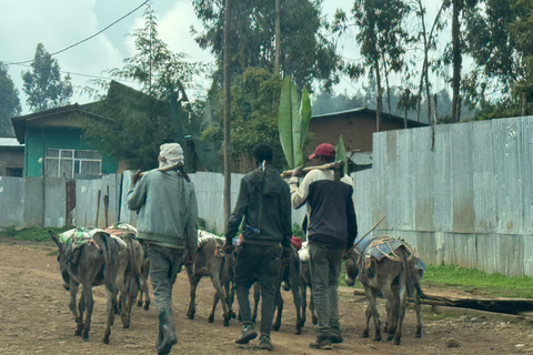 From Addis: Blue Nile Gorge, Baboons & Waterfalls