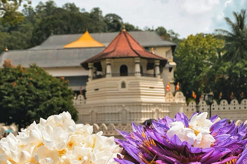 Von Colombo aus: Kandy und Pinnawala Tagestour