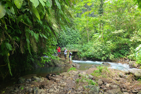 Bali Hidden Trekking, Wasserrutsche, Sekumpul, &amp; Fiji WasserfallAbholung vom Hotel und Rücktransfer zum Hotel inbegriffen