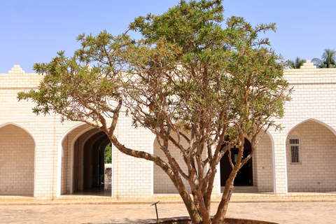 Tour de medio día por la ciudad de Salalah