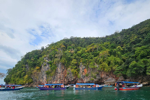 Langkawi: 3-Hour Shared Kilim Geoforest Mangrove Boat Tour