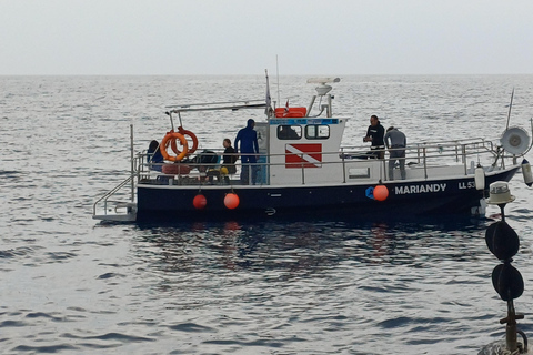 Larnaca: Private Wreck Diving Tour with Gear & Photos