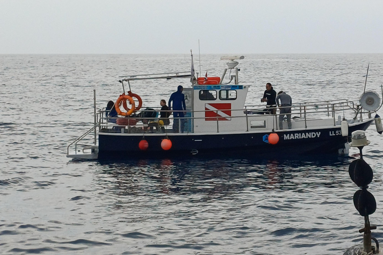 Larnaca: Private Wreck Diving Tour with Gear & Photos