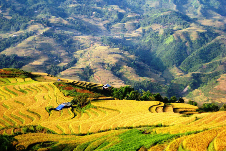 Sapa Paket Tour 2 Tage 1 Nacht mit Trekking