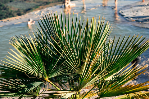 Oaxaca: Traditional Tlacolula Bread, Hierve el Agua, and Mezcal
