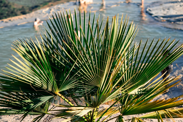 Oaxaca: Traditional Tlacolula Bread, Hierve el Agua, and Mezcal